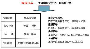 中国浪莎红 浪莎内装战略营销策划与企业形象策划方案